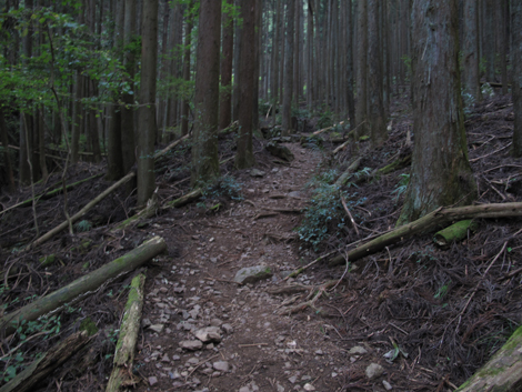 20151021hike (33)